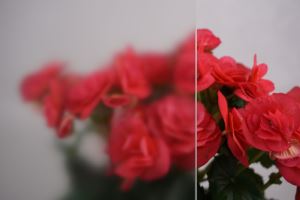 Ceata de sticlă cu efect de seră