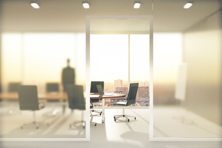 frosted glass partition-4